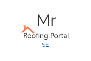 Mr Flat Roof