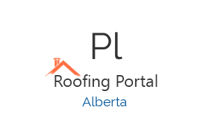 Platinum Roofing