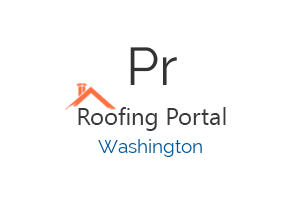Professional Roofing LLC